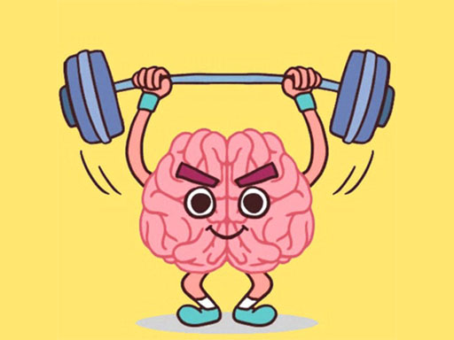 Perfect Brain 3D Puzzle