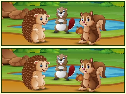 Spot The Differences Forests