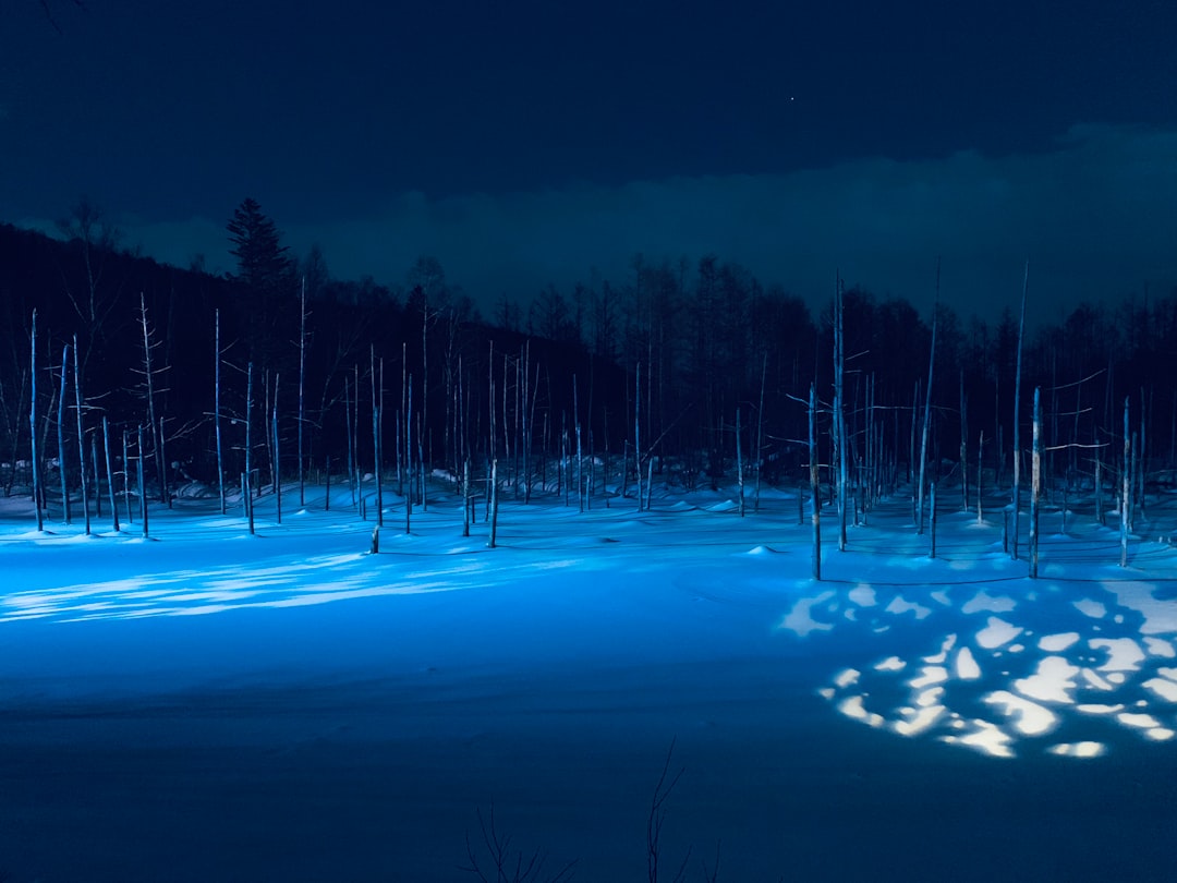 Mastering the Art of Braising Short Ribs