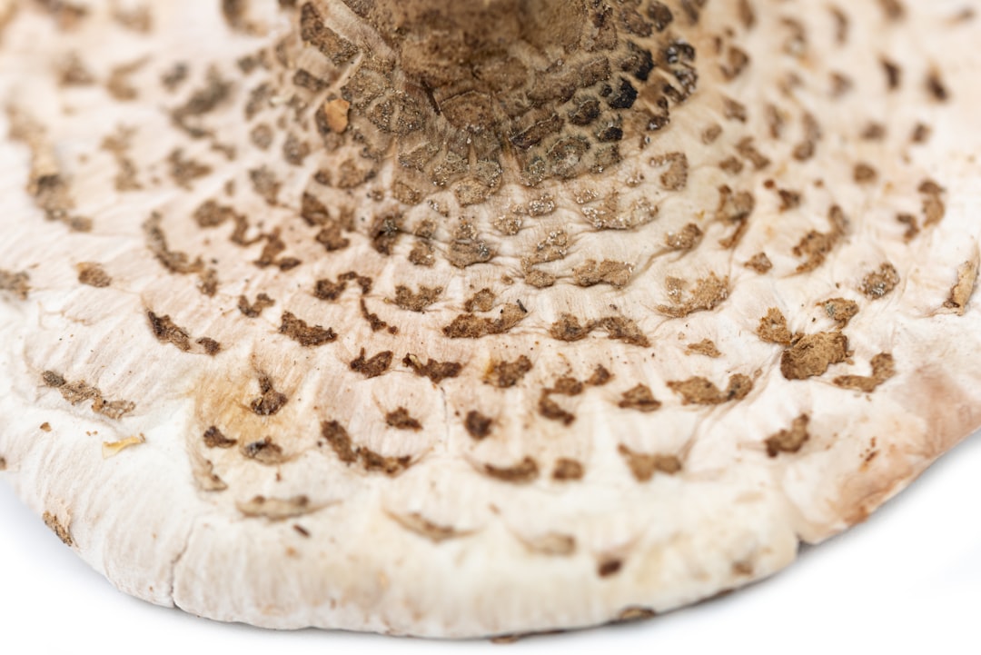 A Heavenly Twist on Apple Desserts for Breakfast