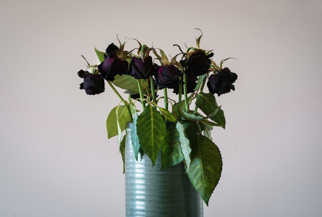 The Secret Weapon for a Thriving Yard: DIY Olla Pots