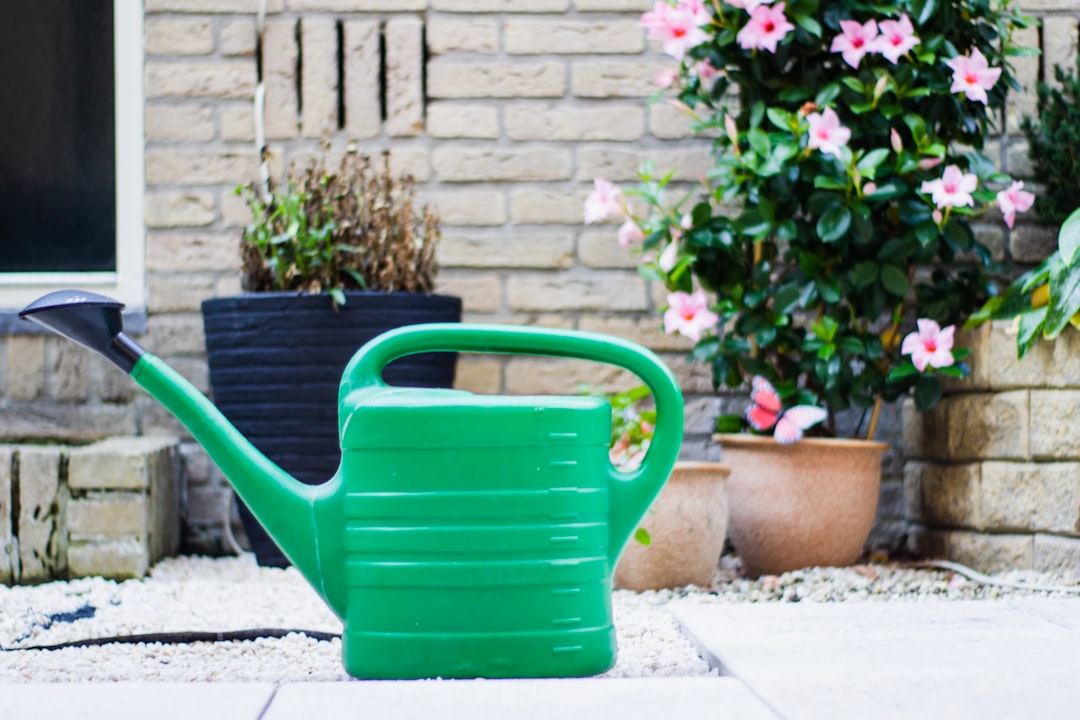Unleashing the Magic of Pollinator Container Gardens