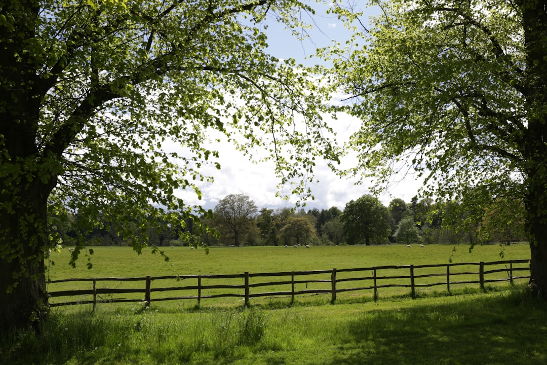 Transform Your Yard into a Relaxing Outdoor Haven