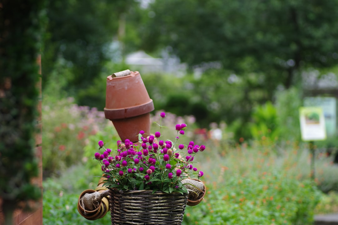 Unveiling the Secrets of an Exquisite Countryside Garden