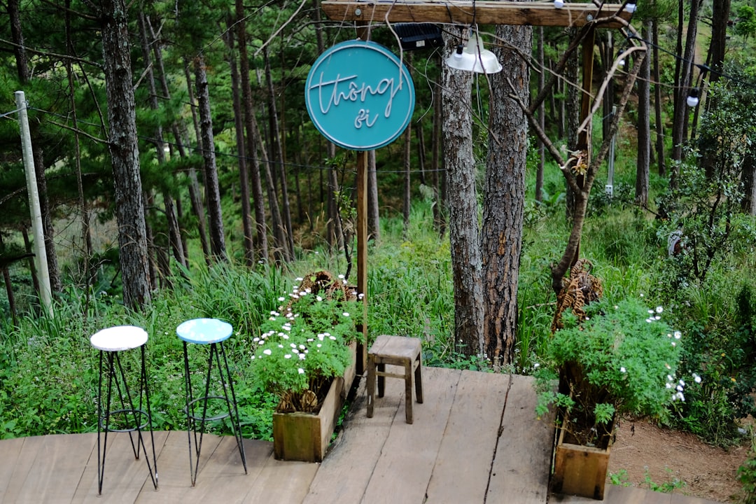 Unleashing the Beauty of Challenging Soil: A Stunning Garden Plan
