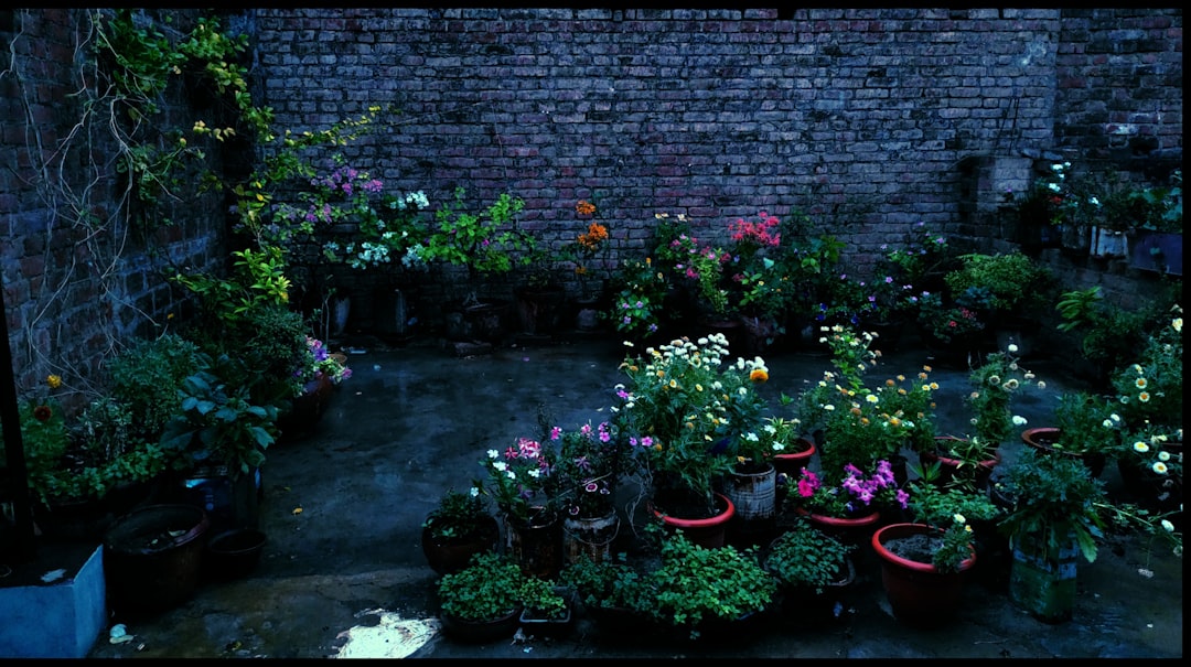 Transform Your Front Yard: Avoid These Costly Landscaping Blunders