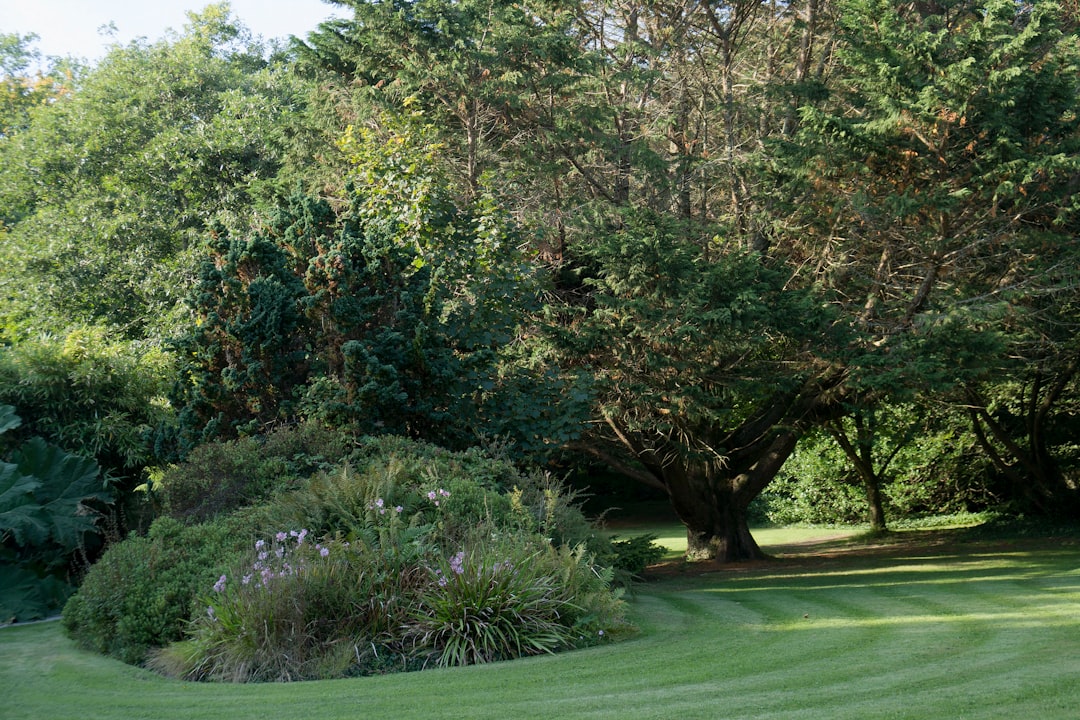 Unveiling the Secrets of Lilac Cultivation