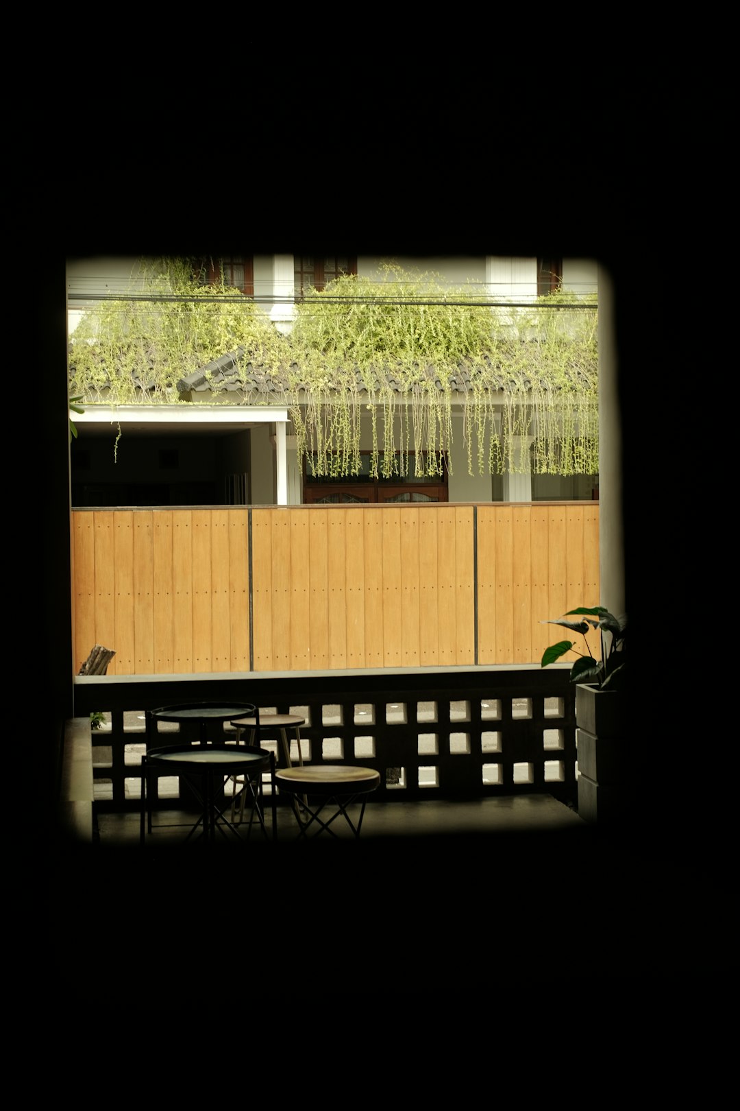 The Hidden Pitfalls of Tree Planting and Better Alternatives