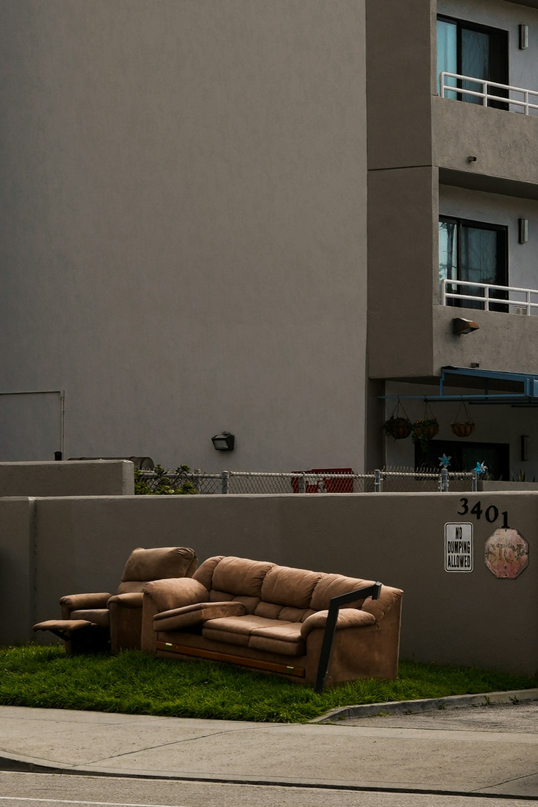 The Art of Palm Tree Trimming for a Lush Landscape