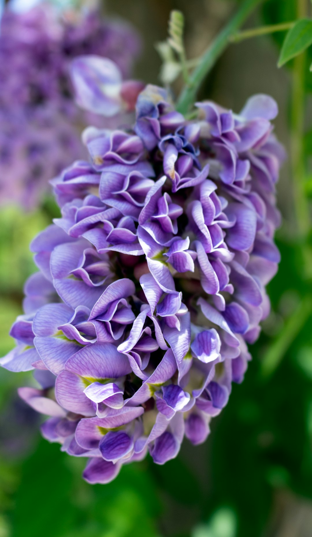 Unleash Your Creativity: Crafting Stunning Container Gardens