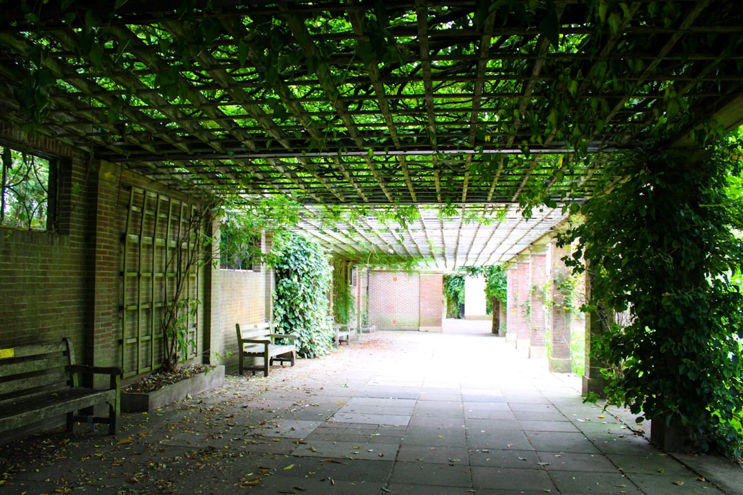 The Art of Pruning Faded Roses for a Stunning Garden