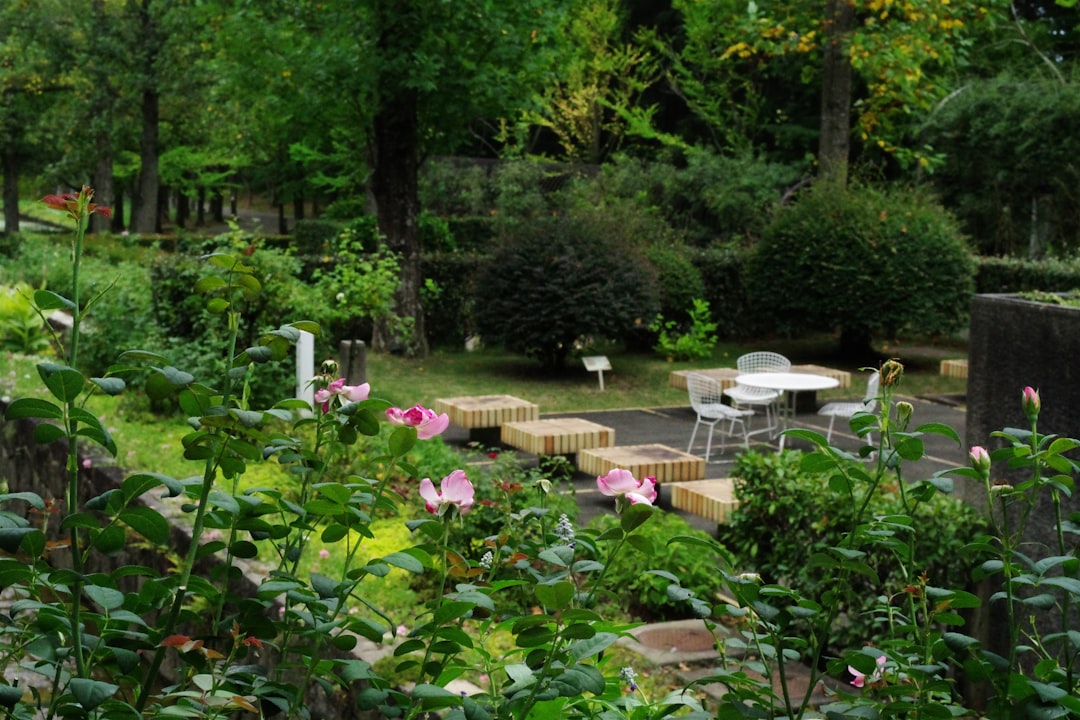 Secrets to a Thriving Hosta Garden in Fall