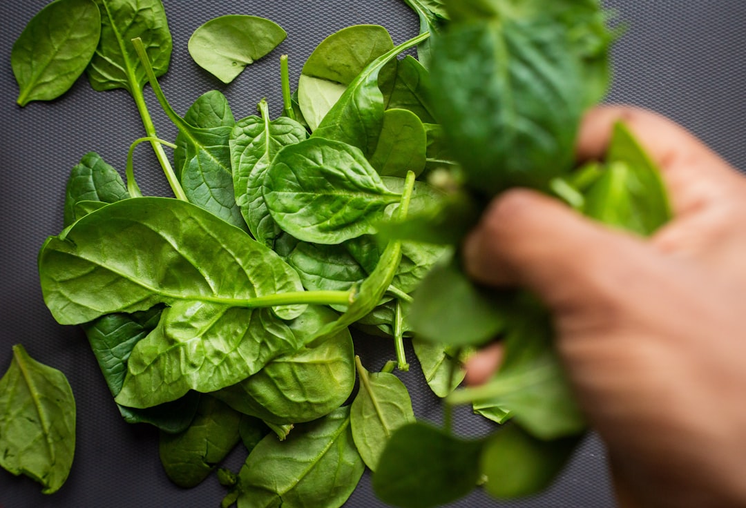 Unleashing the Winter Composting Magic for a Thriving Spring Yard
