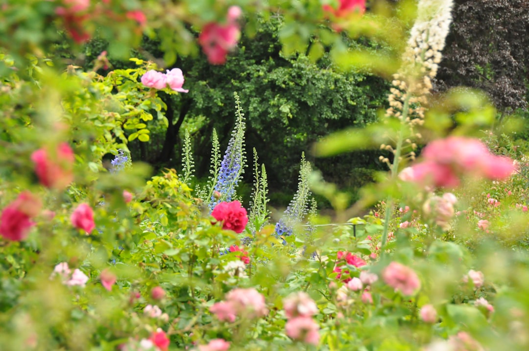 The Secret to a Thriving Yard: Fertilizer Mastery