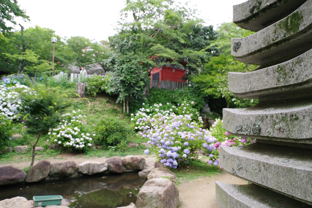 The Secret to Thriving Indoor Orchids: A Unique Watering Guide