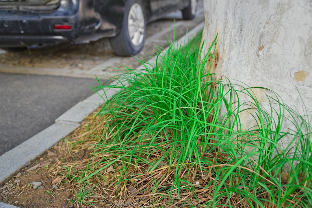 Thriving Through the Cold: Secrets of Water Gardens