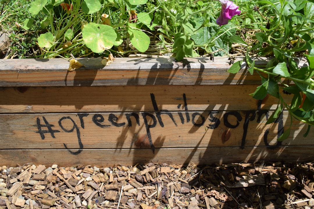 Unleash Your Garden's Potential