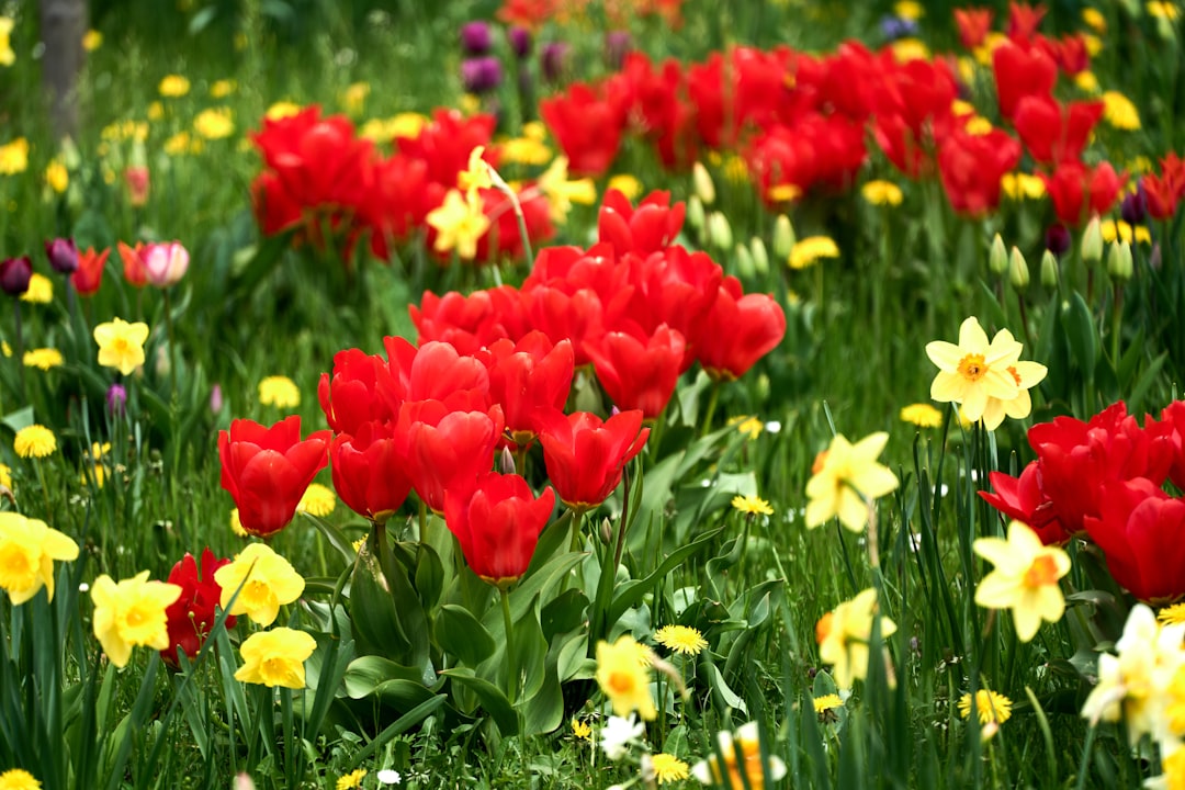 Secrets to a Thriving Spring Garden: Mastering Seedling Hardening