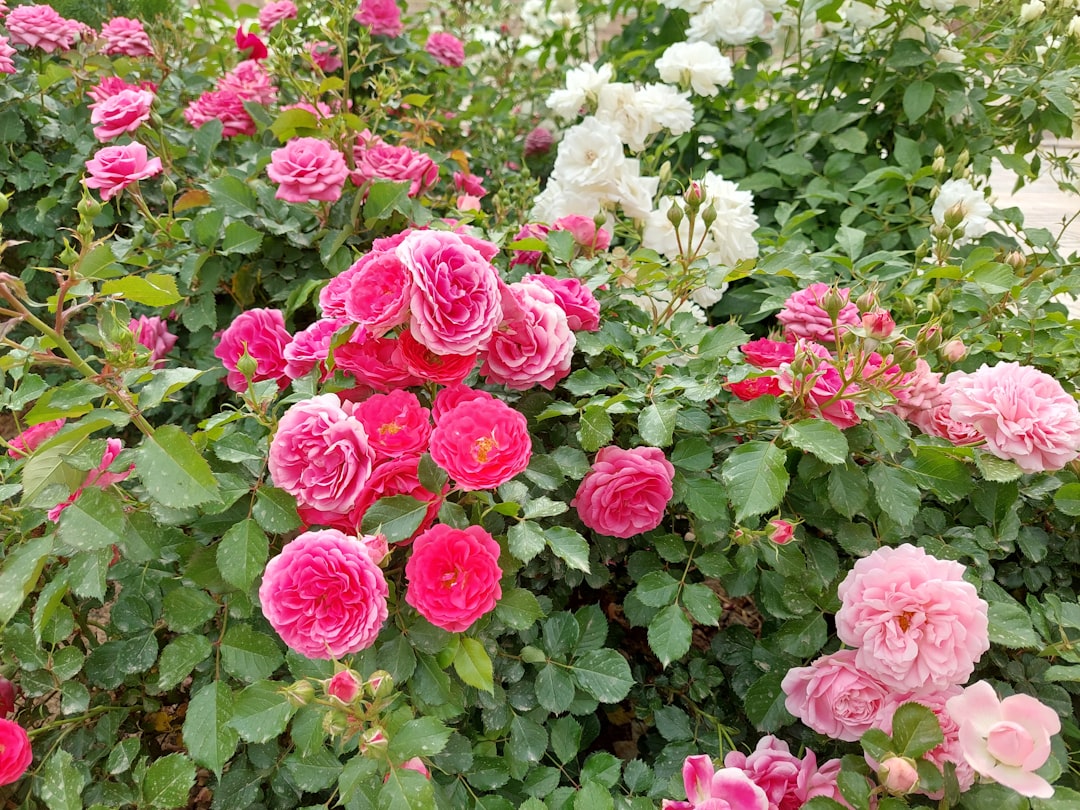 Guardians of the Green: Conquering Garden Pests