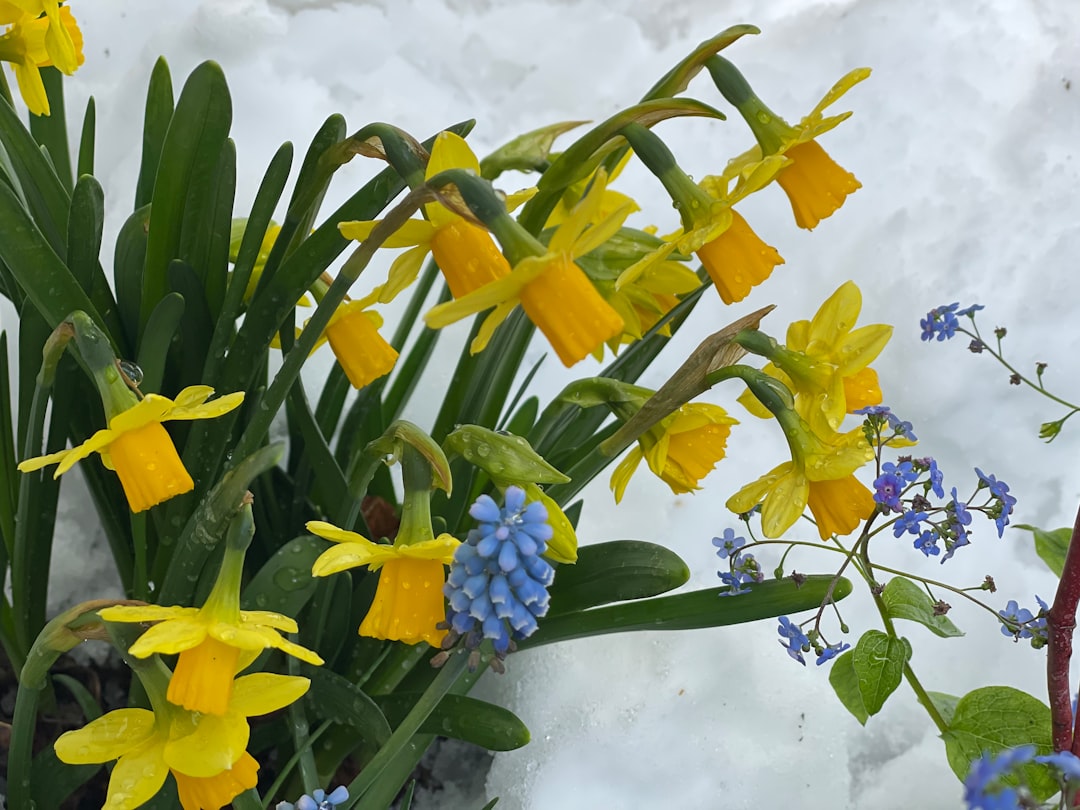 Transform Your Yard with Enchanting Garden Fountains
