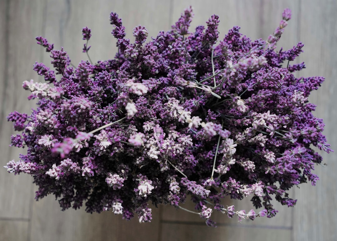 The Secret to a Healthier and Tidier Fall Garden