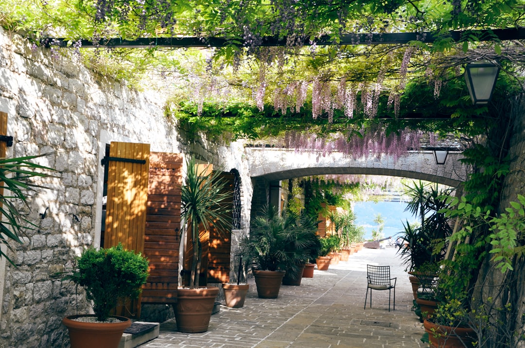 The Magic of Topiary: Transforming Greenery into Living Art