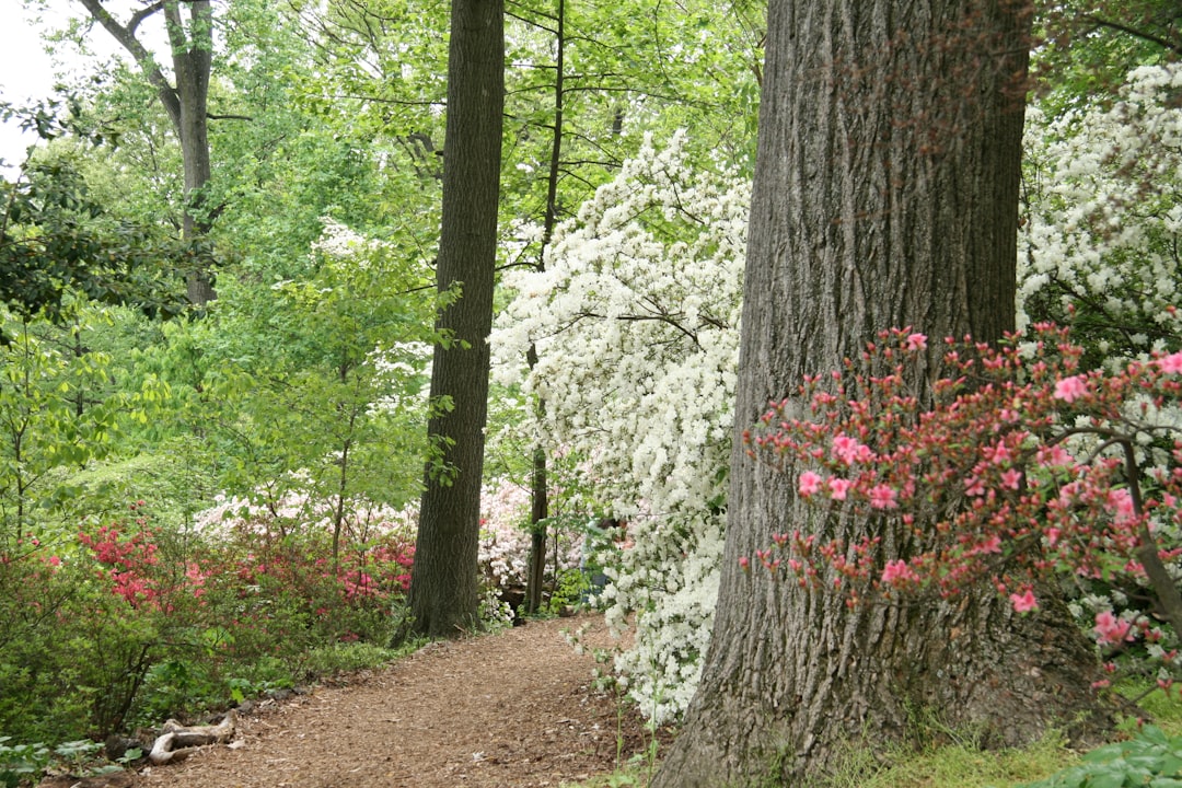Unveiling the Secrets of Soil Amendments for a Thriving Yard