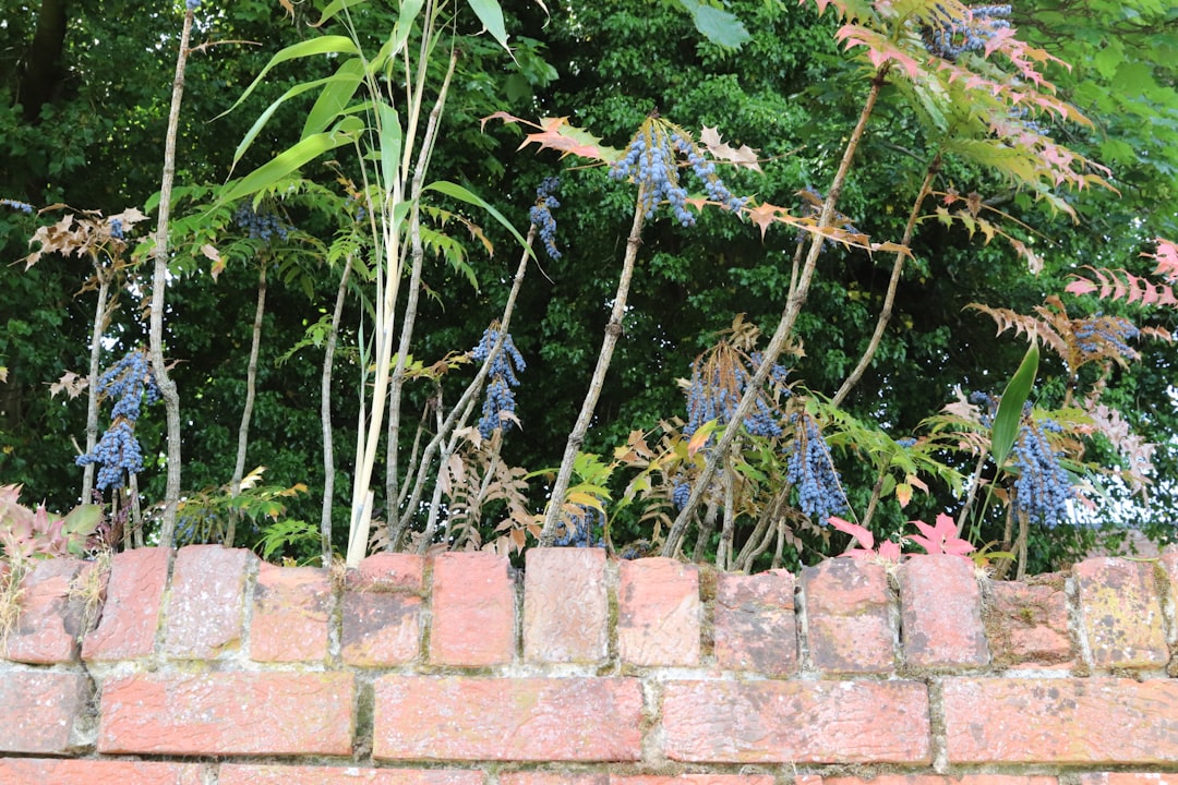 Transform Your Backyard into a Wildlife Paradise