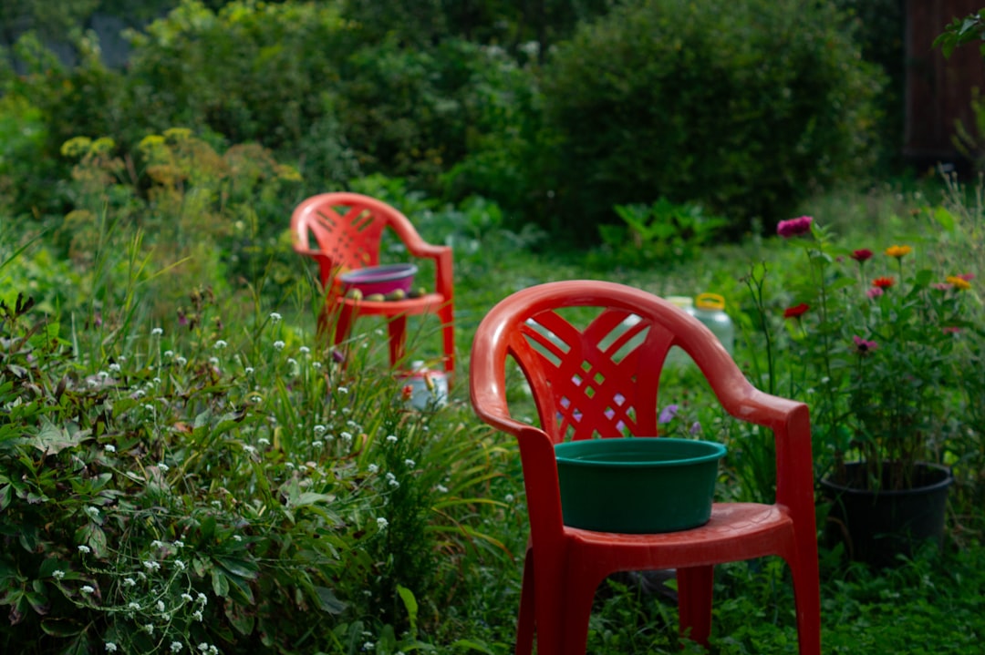 Unleashing Autumn's Color Palette in Your Garden