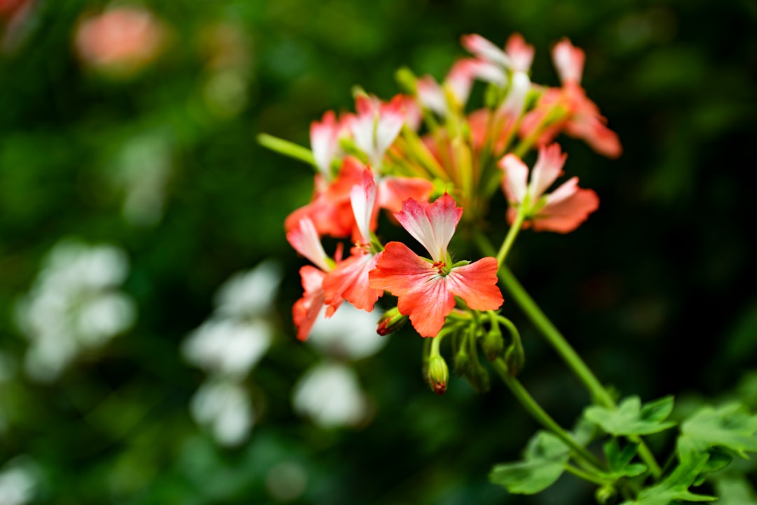 Banish Wasps from Your Outdoor Dining: Expert Solutions