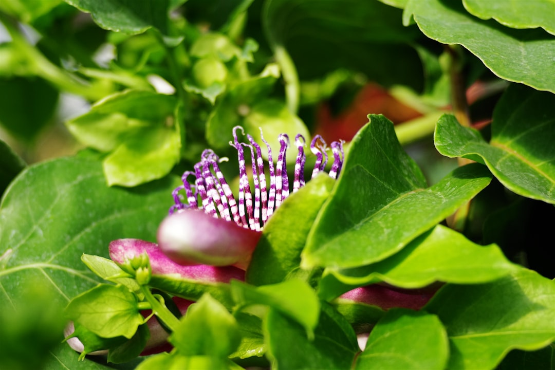 The Hidden Gems for Your Mini Indoor Oasis