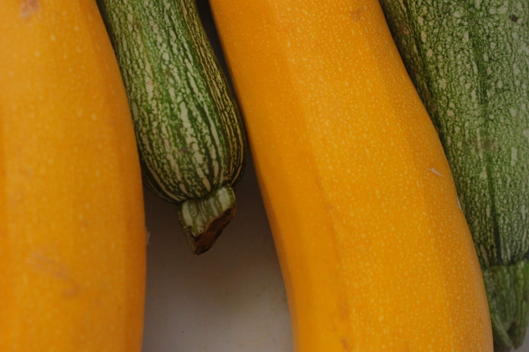 Reviving the Luster of Your Cucumber Plants