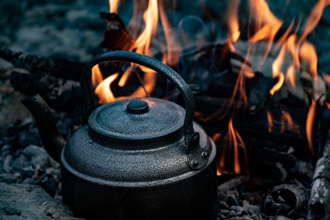 Unleash the Magic of Basil: A Culinary Adventure