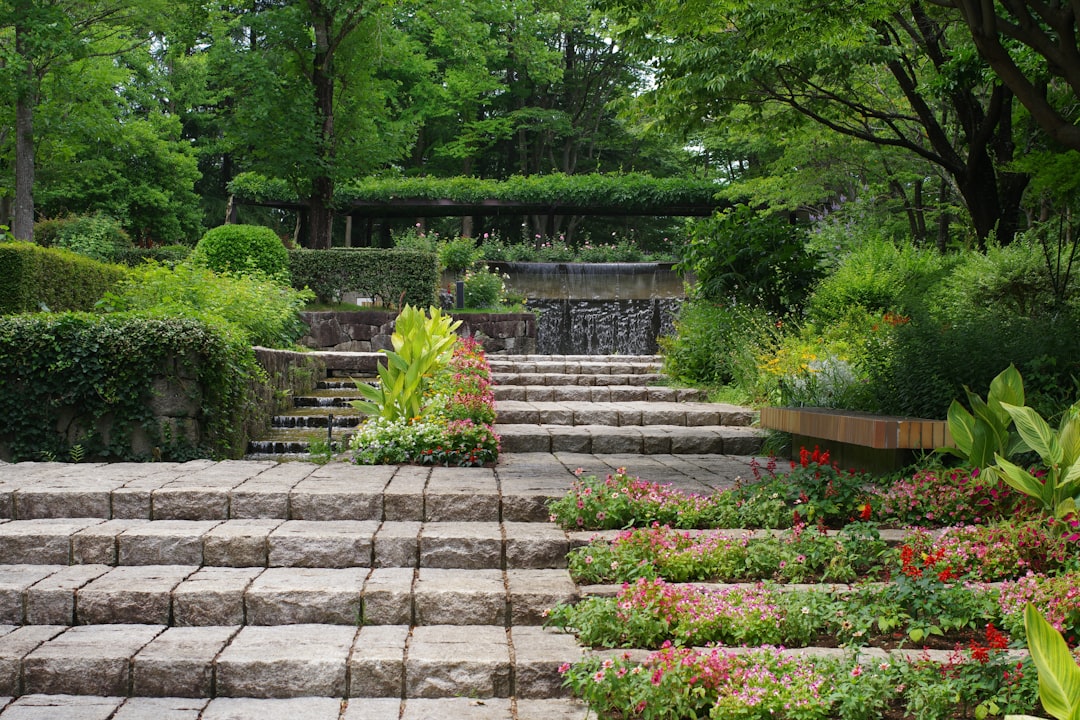 The Enchanting World of Perennial Geraniums in Gardening