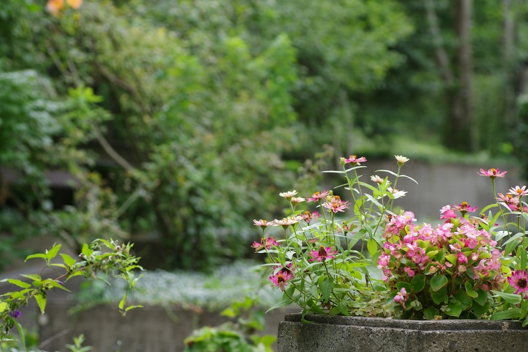 Unleashing the Magic of Silver Containers in Your Garden