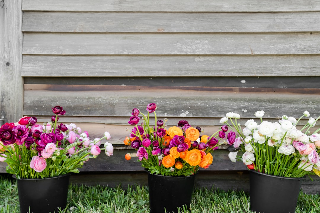 The Secret Weapon Against Fruit Flies in Your Garden