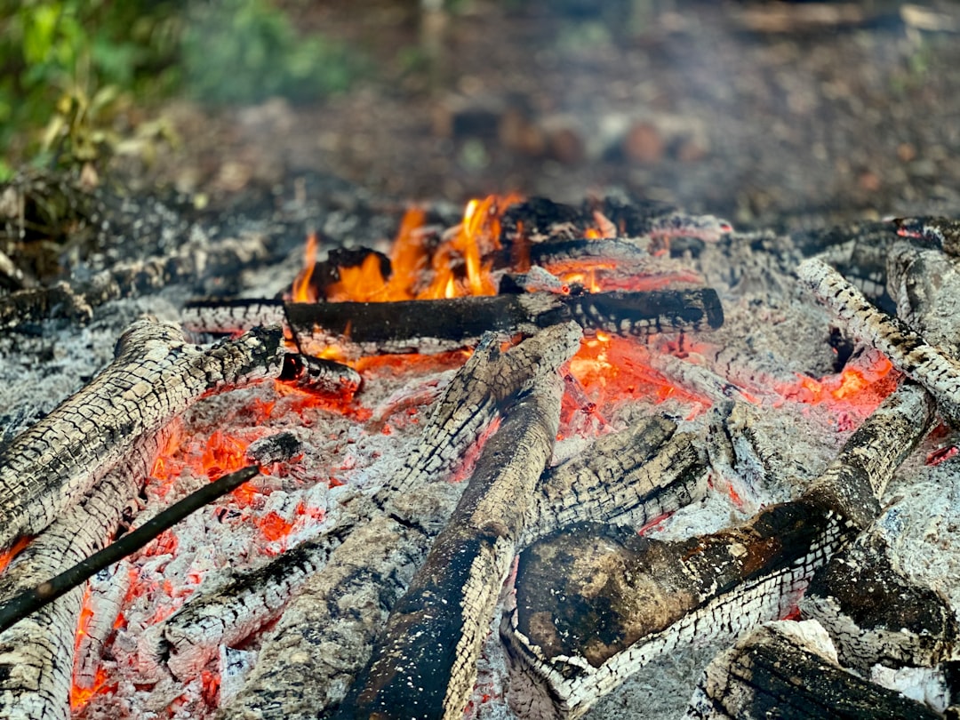 Safeguarding Your Outdoor Oasis from Wildfire Smoke