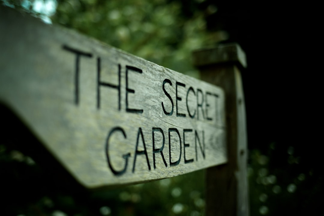 Secrets to a Thriving Yard During Summer Vacation