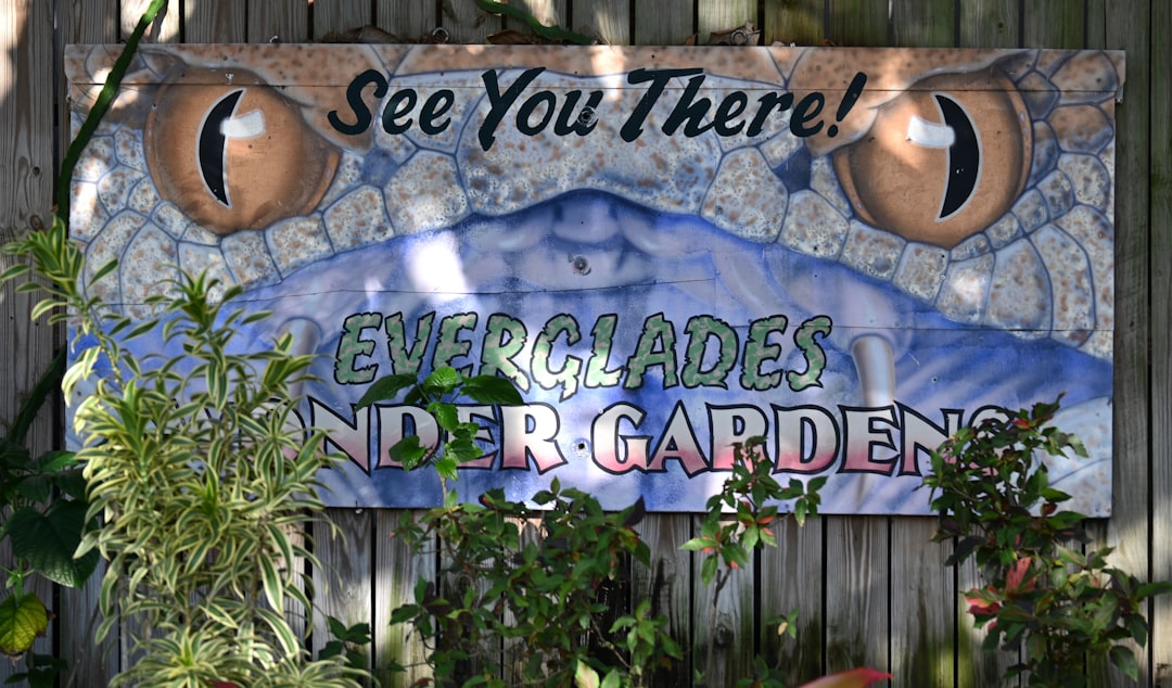 The Secret of Eggshells in Your Garden