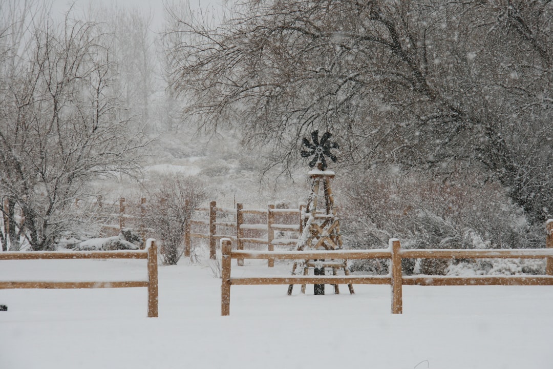 Budget - Friendly Gardening Landscape Secrets