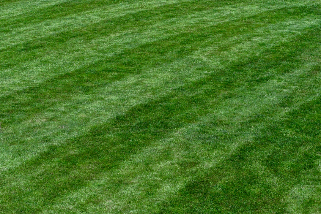 Unleash the Power of Compost in Your Garden
