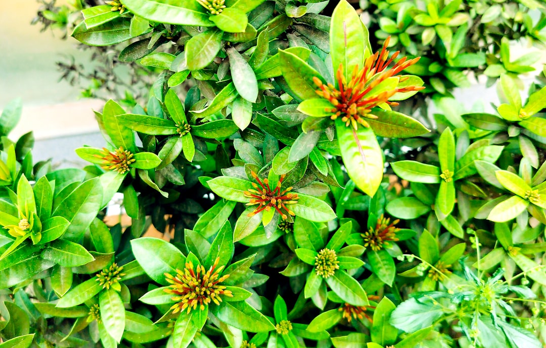 Brighten Your Winter with Indoor Gardening