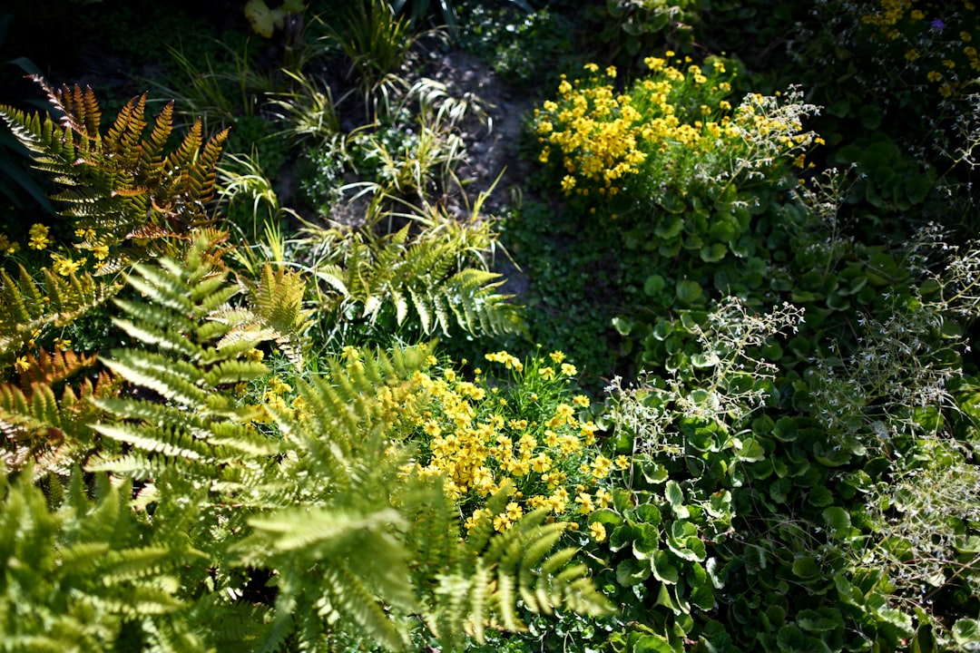 Unveiling the Enchanting World of Moon Gardens
