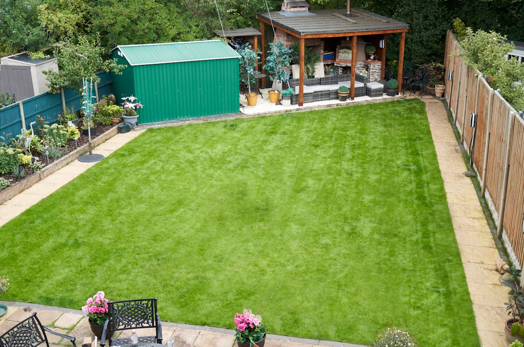 Unleashing the Magic of a Butterfly - Filled Garden