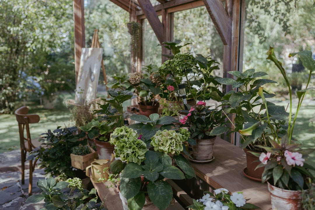 Unveiling the Enchanting World of Chocolate Plant Gardens