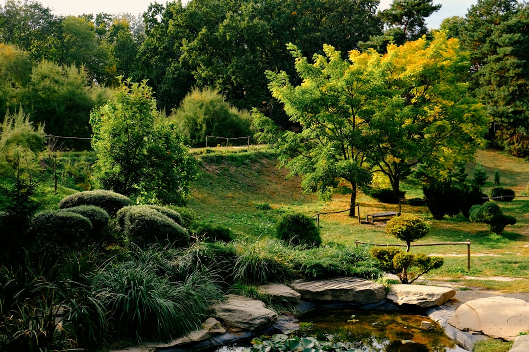 The Art of Pruning Evergreens for a Tidy Garden