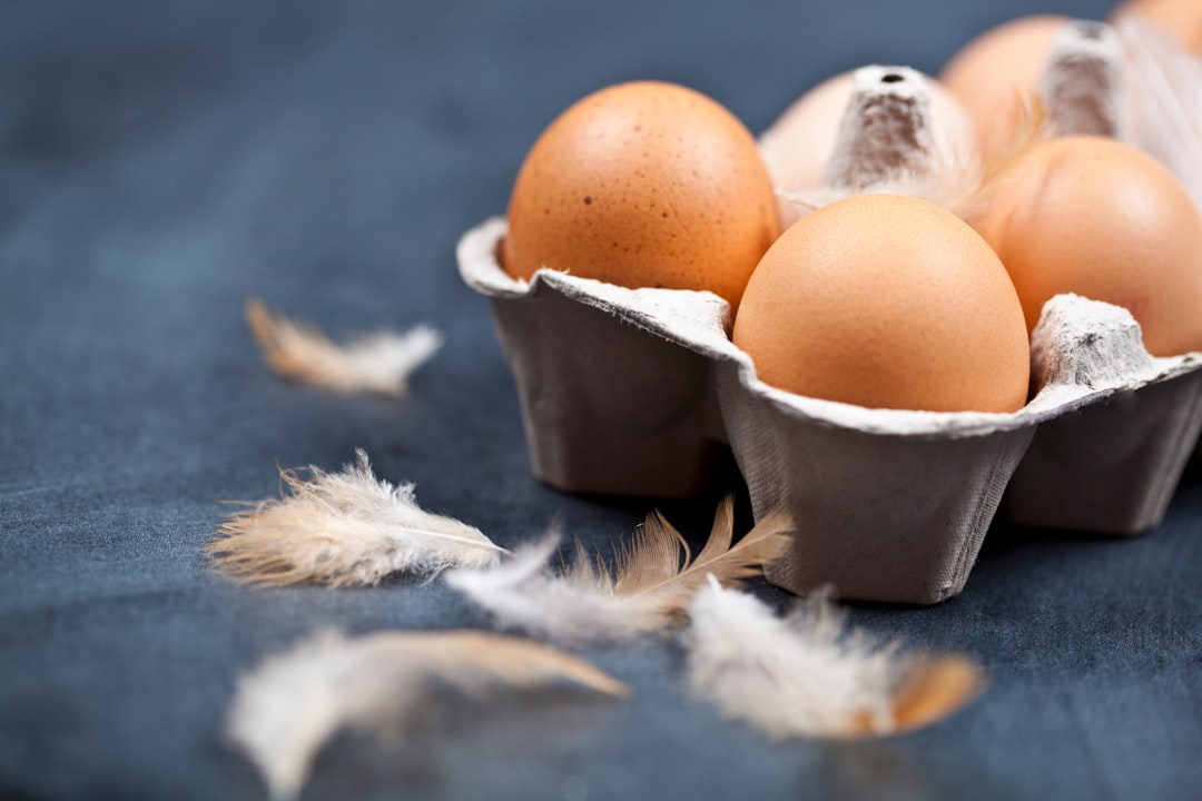 Revolutionizing Interior Design Consultation: The Custom GPT Storefront Experience