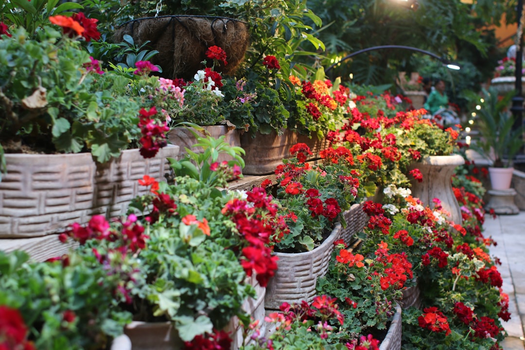 The Art of Planting Seed Potatoes: A Comprehensive Guide