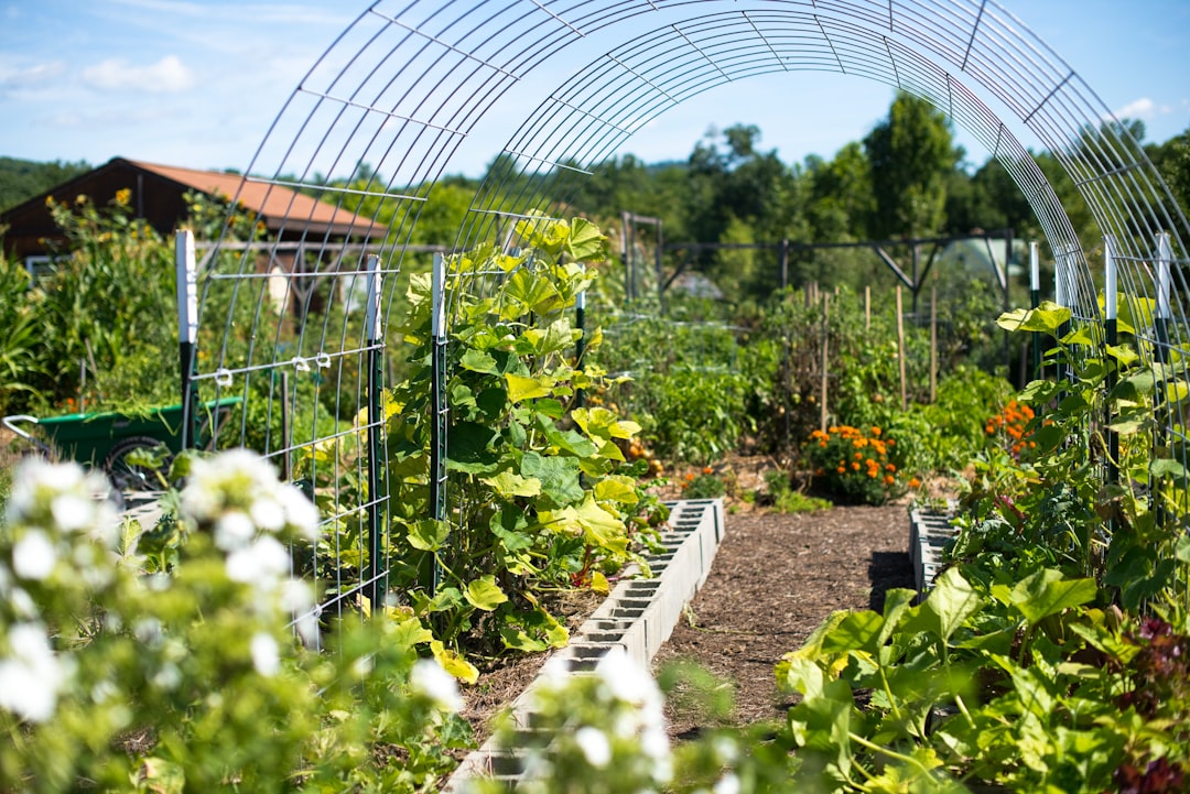 Container Gardening: A Big Solution for Small Spaces