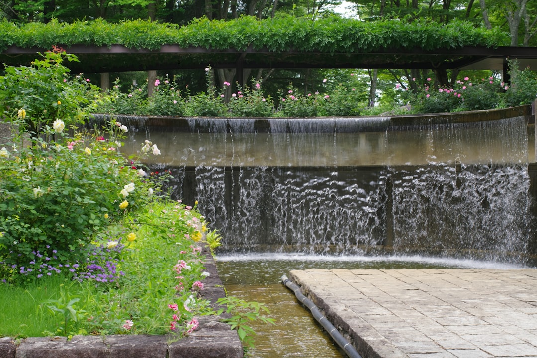 Unleashing the Potential of Your Vegetable Garden